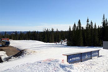 Trysil: Løjperne løber gennem de norske skovområder