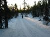 Langrendsrute �stp�