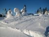 thumb for billede 4 fra �re 2011 albummet