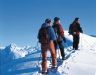 Billede fra Alpbachtal i �strig