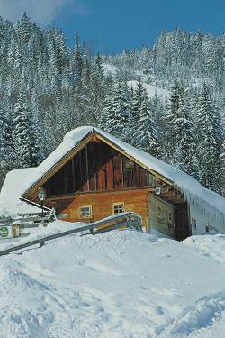 Skihytte i Bad Mitterndorf