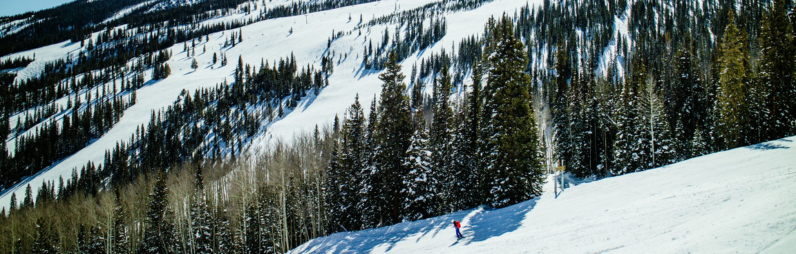 Richtige Pflege und Aufbewahrung von Skiern und Skischuhen