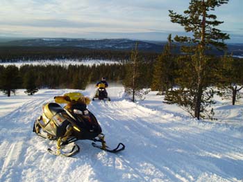 Snescooter Safari i Finland og Sverige