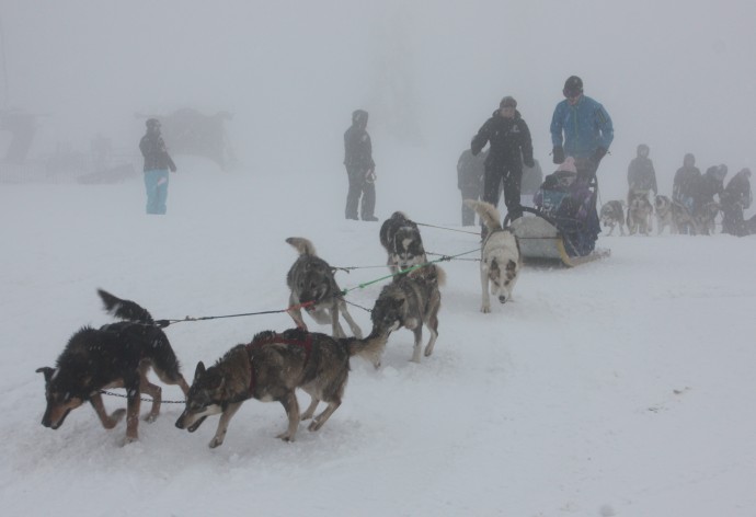 Hundeslædekørsel i Skeikampen, Norge