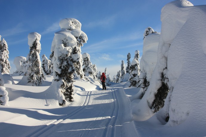 Langrend med masser af sne