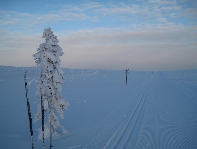 100 km smuk langrend i Trysil