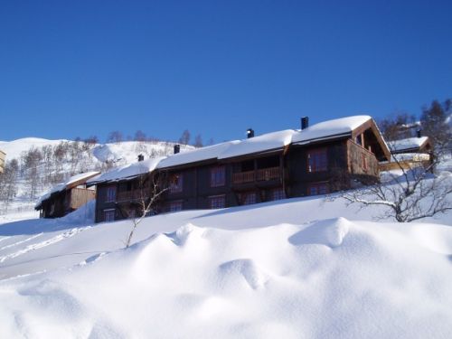 Ski in ski out i alle leiligheter i Haukelifjell
