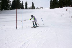 Alpin DM afviklet med succes