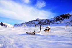 Arctic Circle Race - Verdens hårdeste skiløb igang - Billede 2119