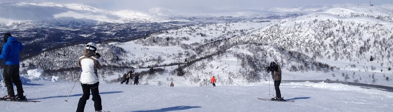 Tilbage til rødderne i Rauland