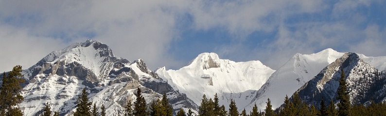På skisafari i Canada