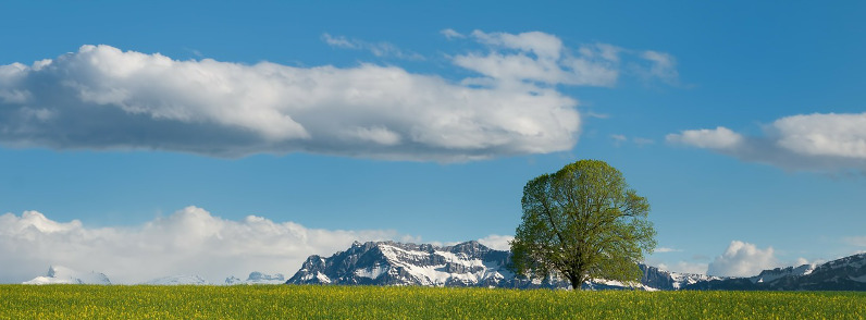 Engelberg - Schweizisk piste og offpiste til alle