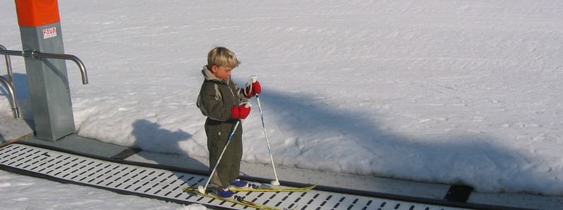 Fefor - Familieski i Peer Gynts Rige