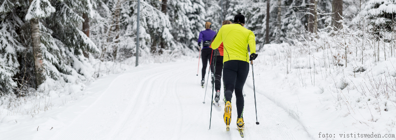Danskerne bruger Vasaløbets udfordrende 90 kilometer som mål