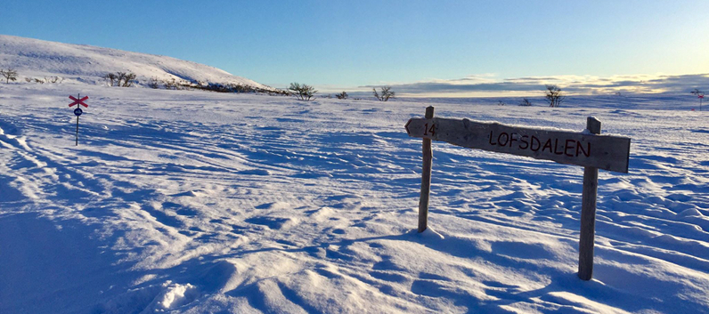 Lofsdalen - både familiehygge og udfordringer til alle