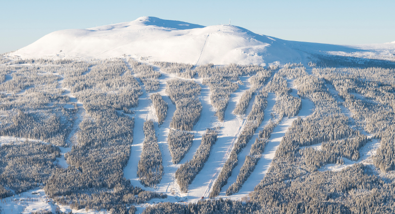 Stå på ski med landsholdet