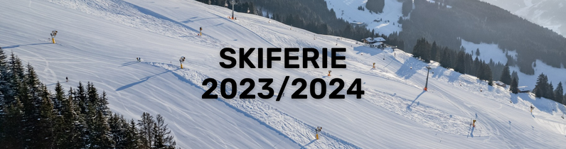 Skiferie 2024: Book tidligt, og find de bedste rejsetilbud (oversigt)