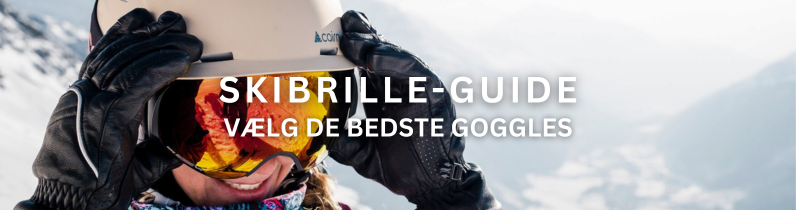 Guide: Sådan vælger du de bedste skibriller