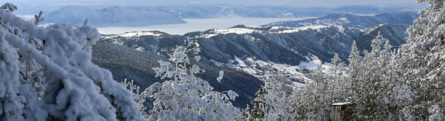 Bo på bjerget: Her er 10 muligheder til din næste skiferie