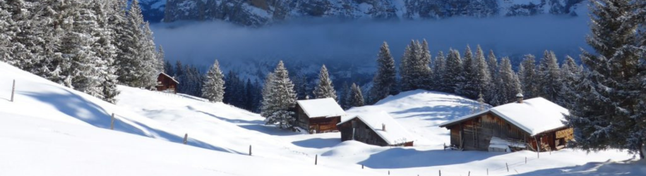 Gimmelwald – rustik skiidyl i hjertet af Jungfrauregionen