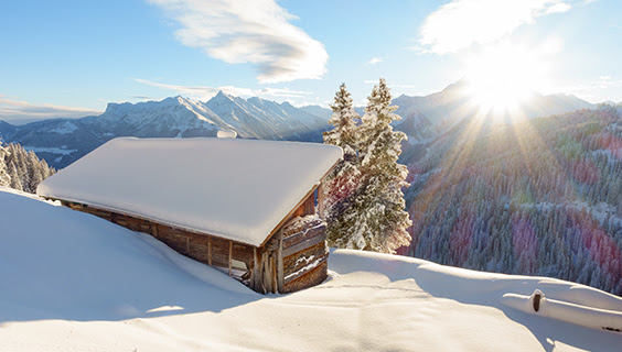 Skigæsternes favoritter i Alperne