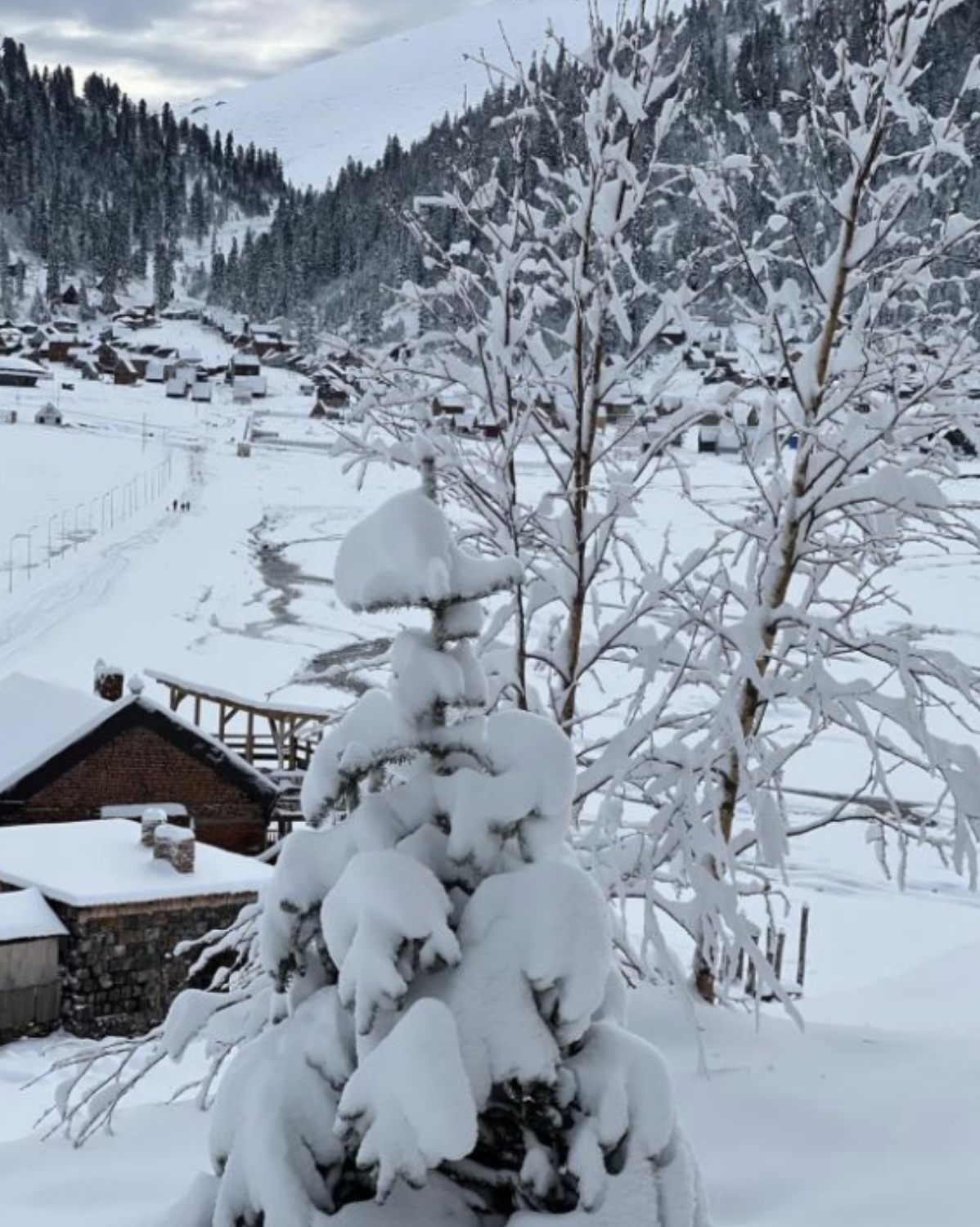 Powder Alert!!!! Sæsonen starter nu