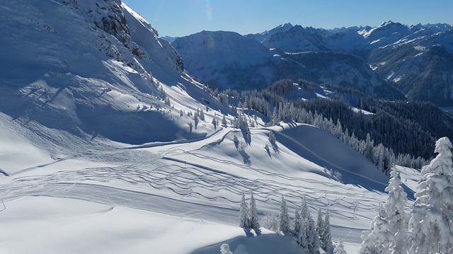 Top 3 grunde til at tage på skitur til Alperne