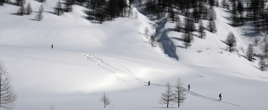 4 nyheder fra DBP: Ny destination, kort skiferie i uge 7, catski i Georgien, på jagt efter den bedste sne