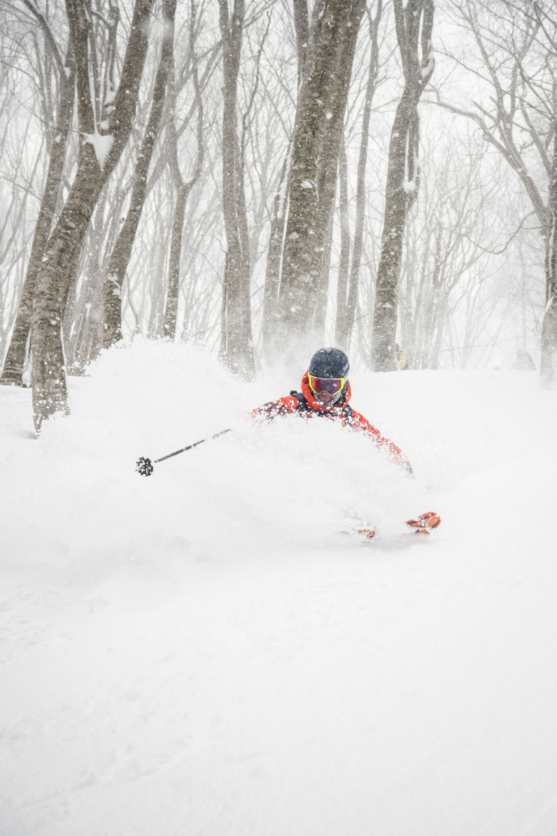 Datoen er sat for powder turen til Central Japan