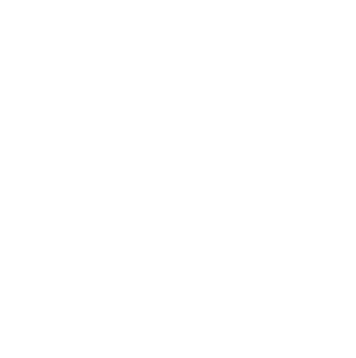 Rossignol - Depuis 1907
